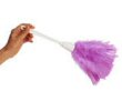 [feather duster graphic]