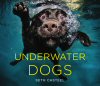 underwaterdogs
